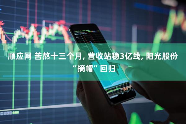 顺应网 苦熬十三个月, 营收站稳3亿线, 阳光股份“摘帽”回归